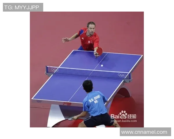 成都乒乓球队的阵地战揭秘：深度解析乒乓球的战术与技巧